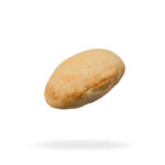 BASES-PUCCIA-1
