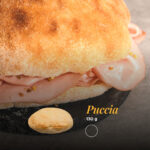 BASES-PUCCIA-2