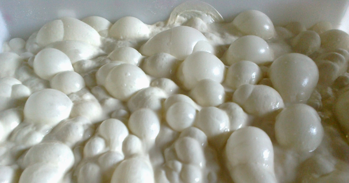 lievitazione-maturazione-pinsa-romana